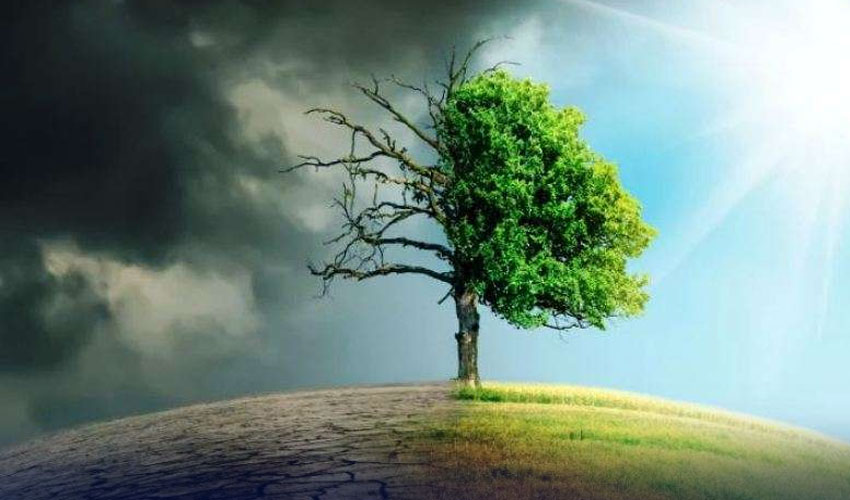 موسمیاتی تبدیلی: نوجوانوں کا کردار اور مستقبل کی ذمہ داری