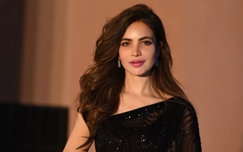 اداکارہ حمیرا اصغر کی میڈیکو لیگل رپورٹ نے موت پر شکوک و شبہات پیدا کر دیئے