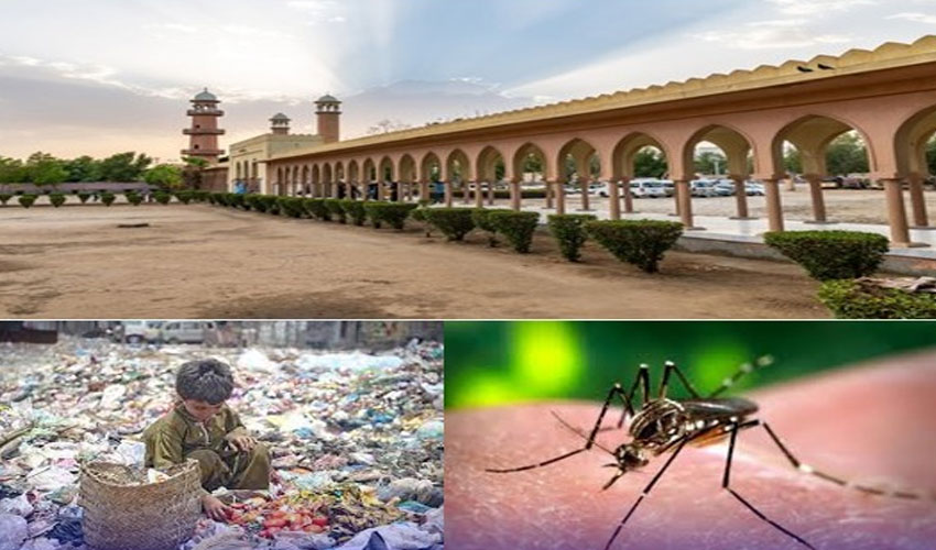 کیک، چوڑیاں، ربڑی کے بعد مشہور حیدرآبادی ملیریا اور ڈینگی