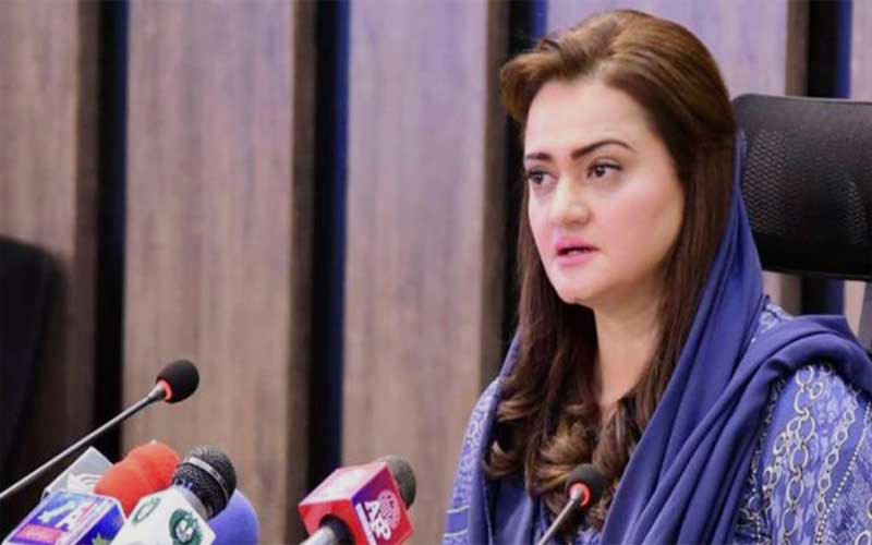 جی ہاں پنجاب حکومت نے جہاز لیا ہے اور یہ پنجاب کے عوام کی خدمت کیلئے لیا گیا: مریم اورنگزیب