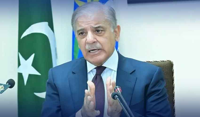 عہد کریں کہ معاشرے کے کمزور طبقات کے حقوق کا تحفظ کریں گے،شہباز شریف