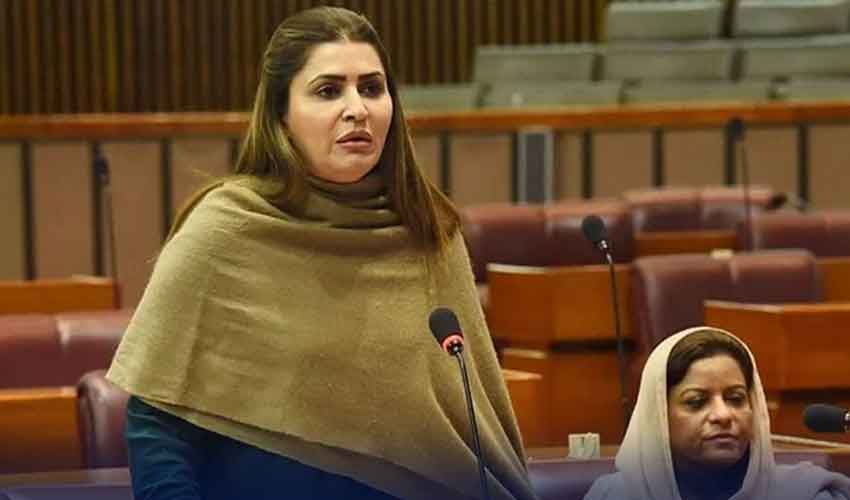 بحیثیت جماعت ن لیگ کے رویے پر افسوس ہے، شازیہ مری