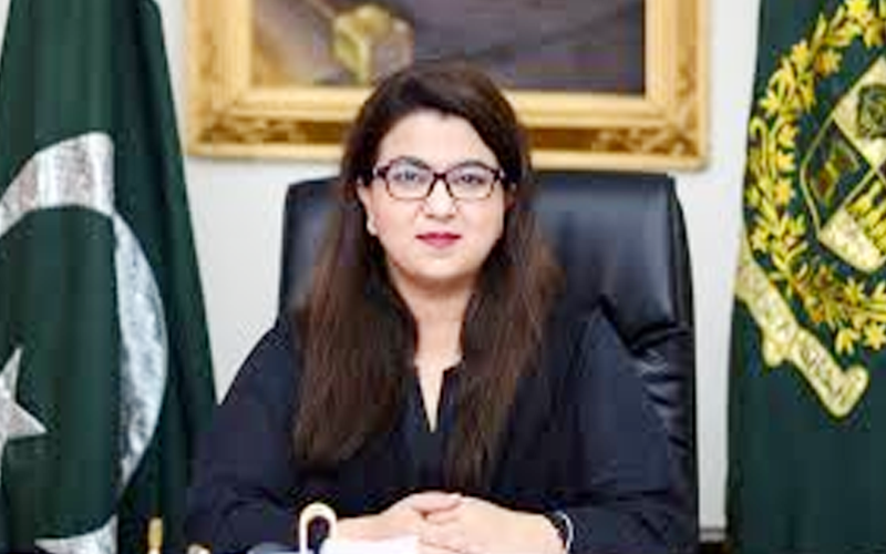 اگلے3سال میں 10لاکھ لوگوں کو مصنوعی ذہانت سکھائیں گے، شزا فاطمہ