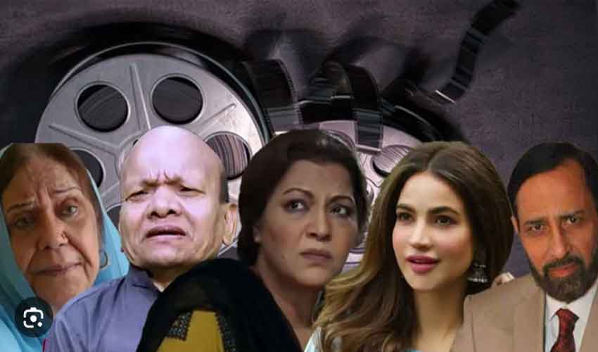 شوبز کے وہ ستارے جو 2025 میں ہم سے ہمیشہ کیلئے بچھڑ گئے